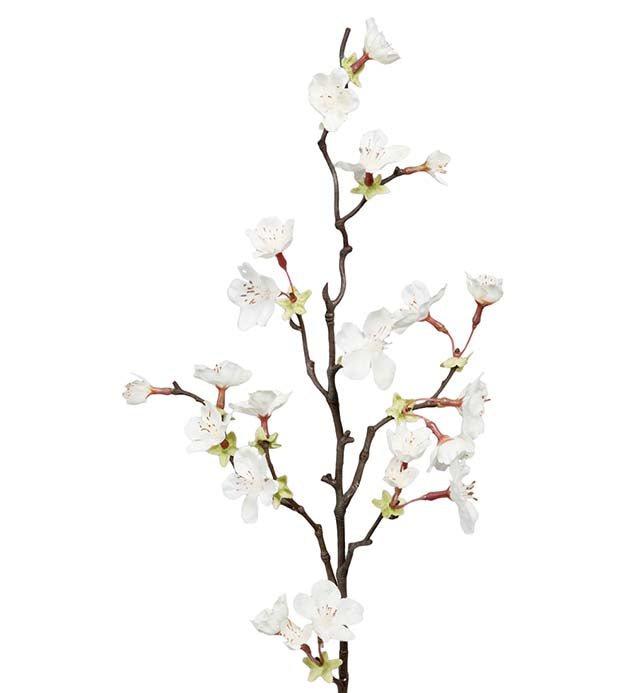 Cherry blossom white 60 cm Mr Plant