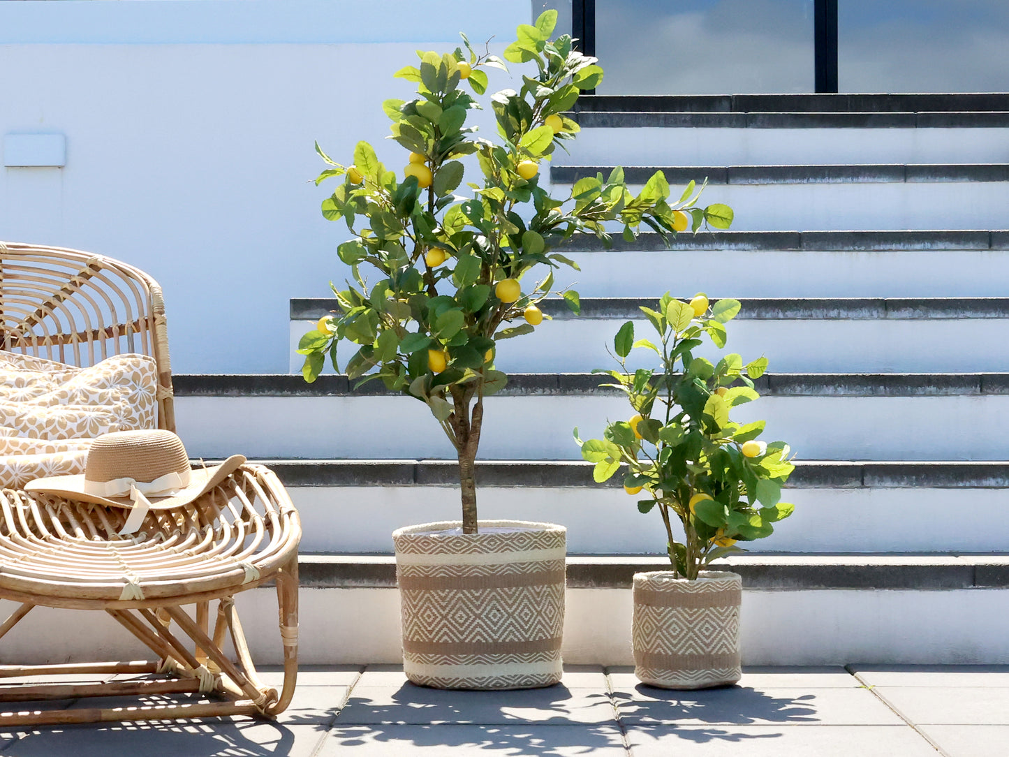 Lemon tree 80 cm Chic Antique