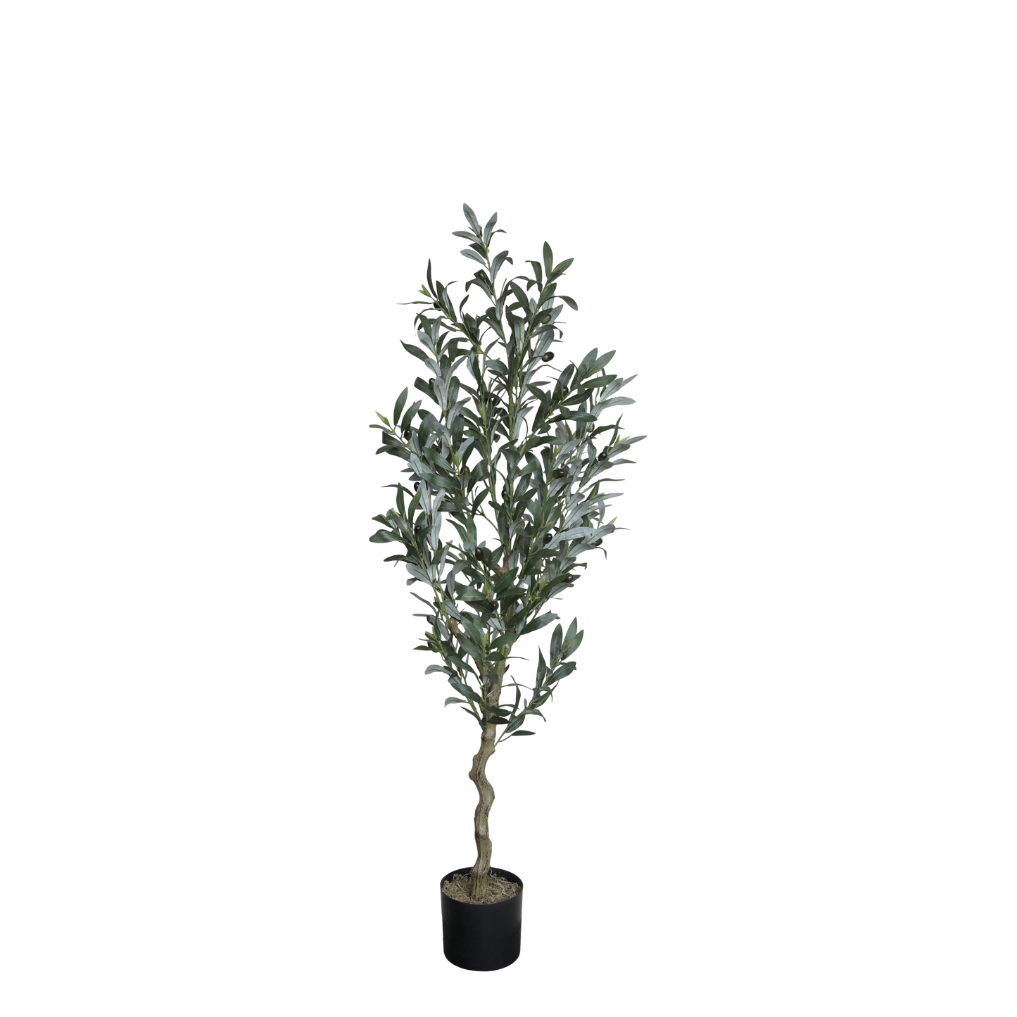 Olive wood 132 cm Chic Antique