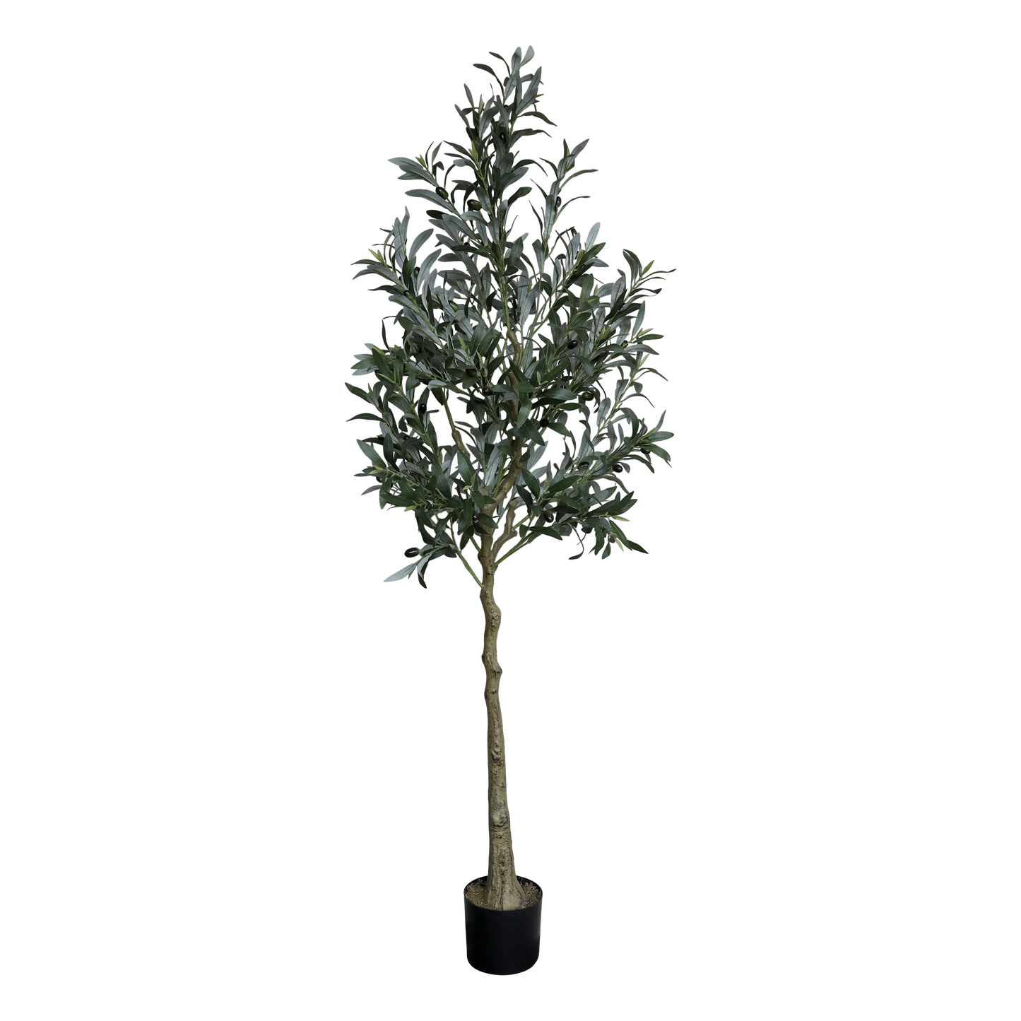 Olive wood 170 cm Chic Antique