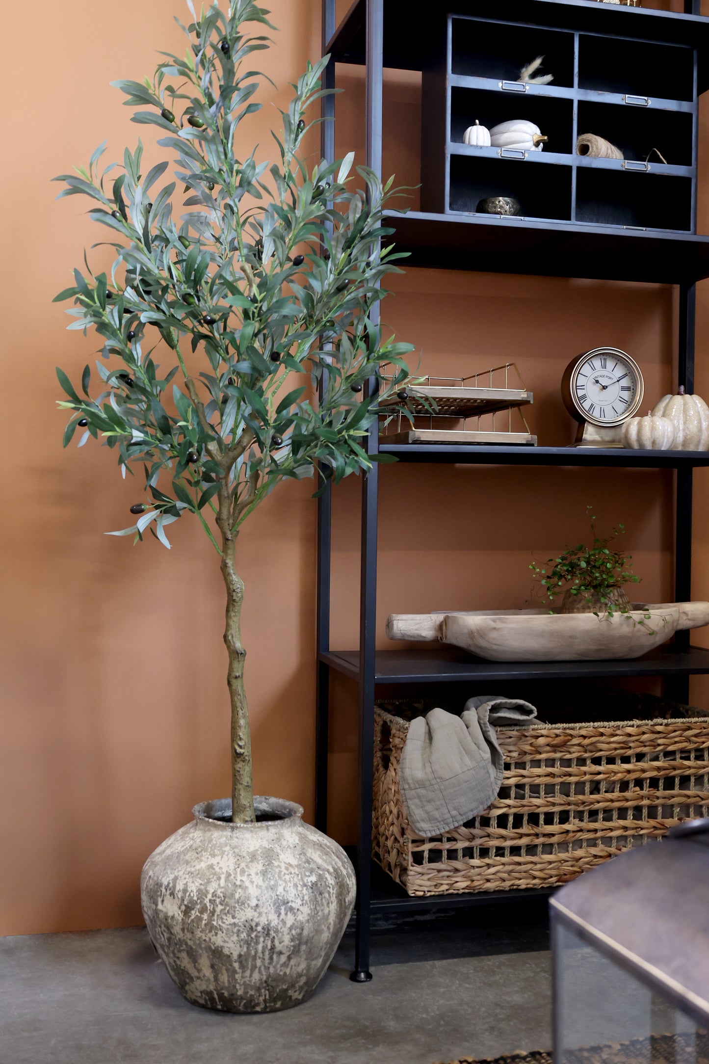 Olive wood 170 cm Chic Antique