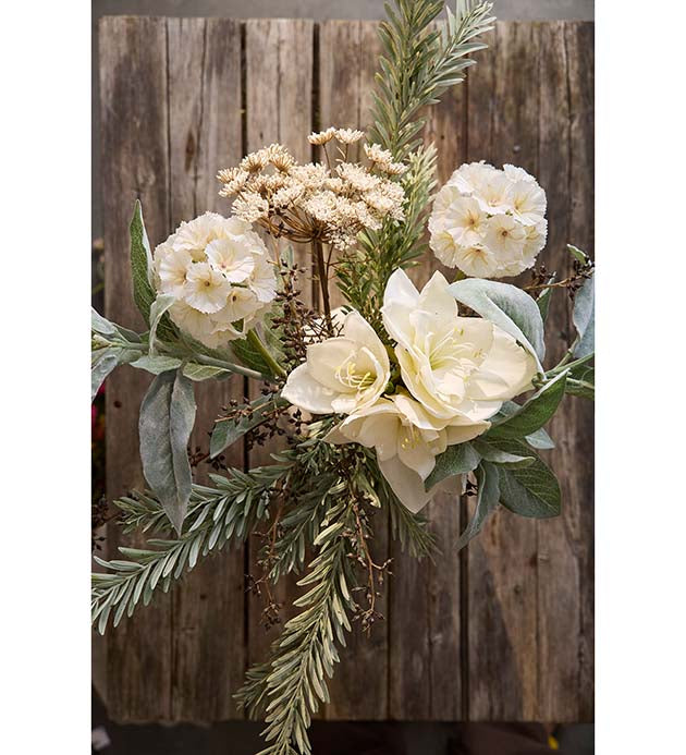 Amaryllis valkoinen 60cm Mr Plan