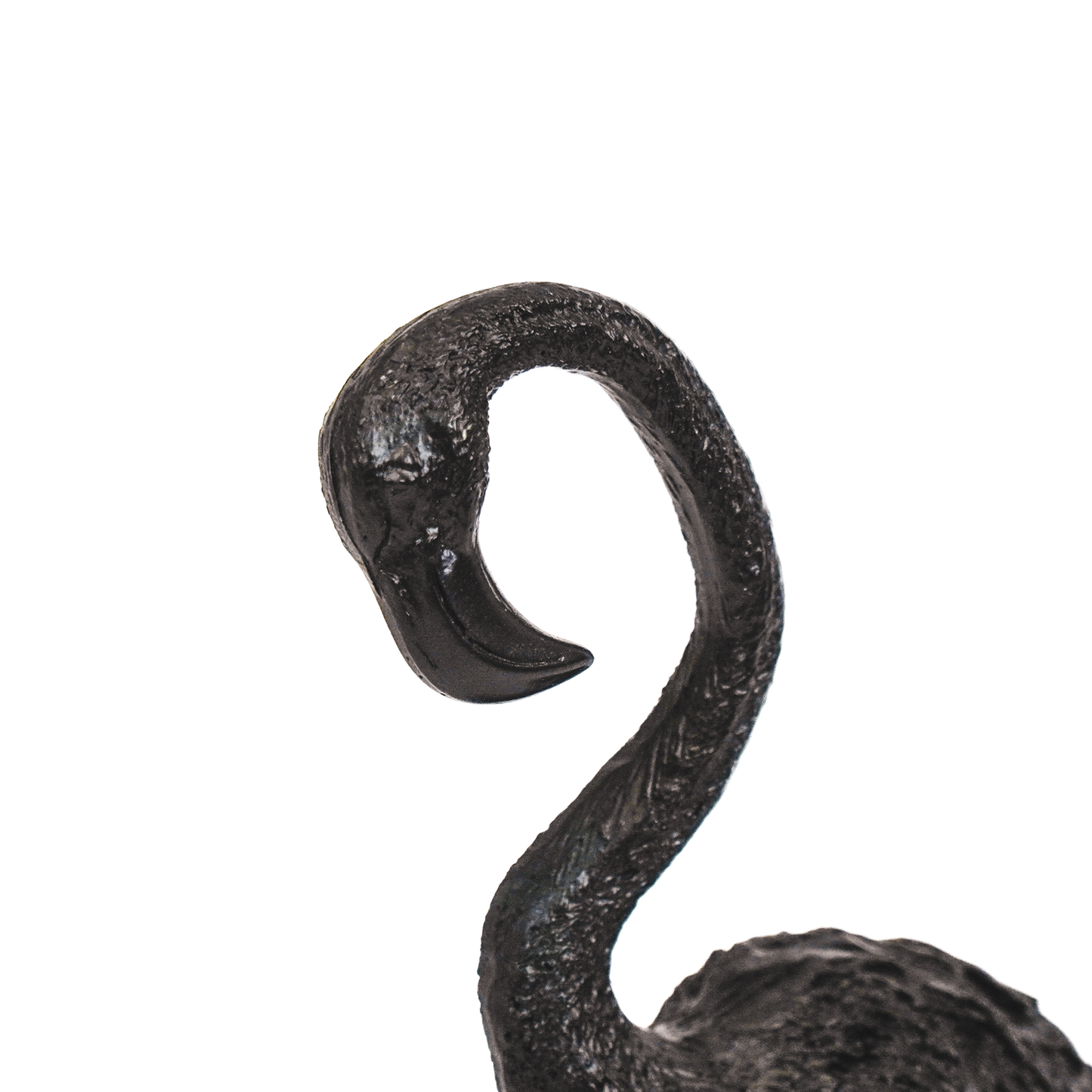 Flamingo black