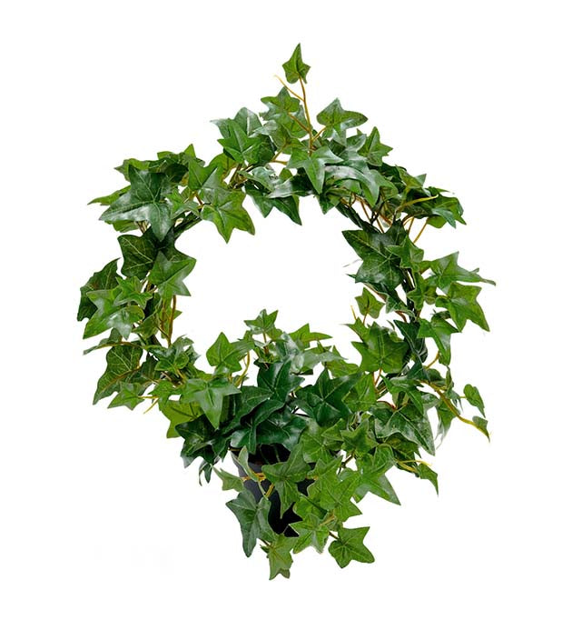 Ivy pot 35 cm Mr Plant