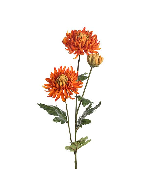 Chrysanthemum orange 65cm Mr Plant
