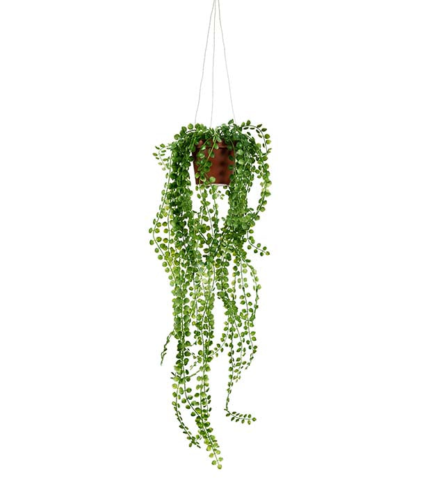 Hide in ampel 55cm Mr Plant