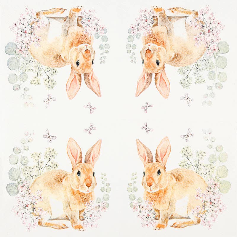 Rosi Rabbit kahviservetti
