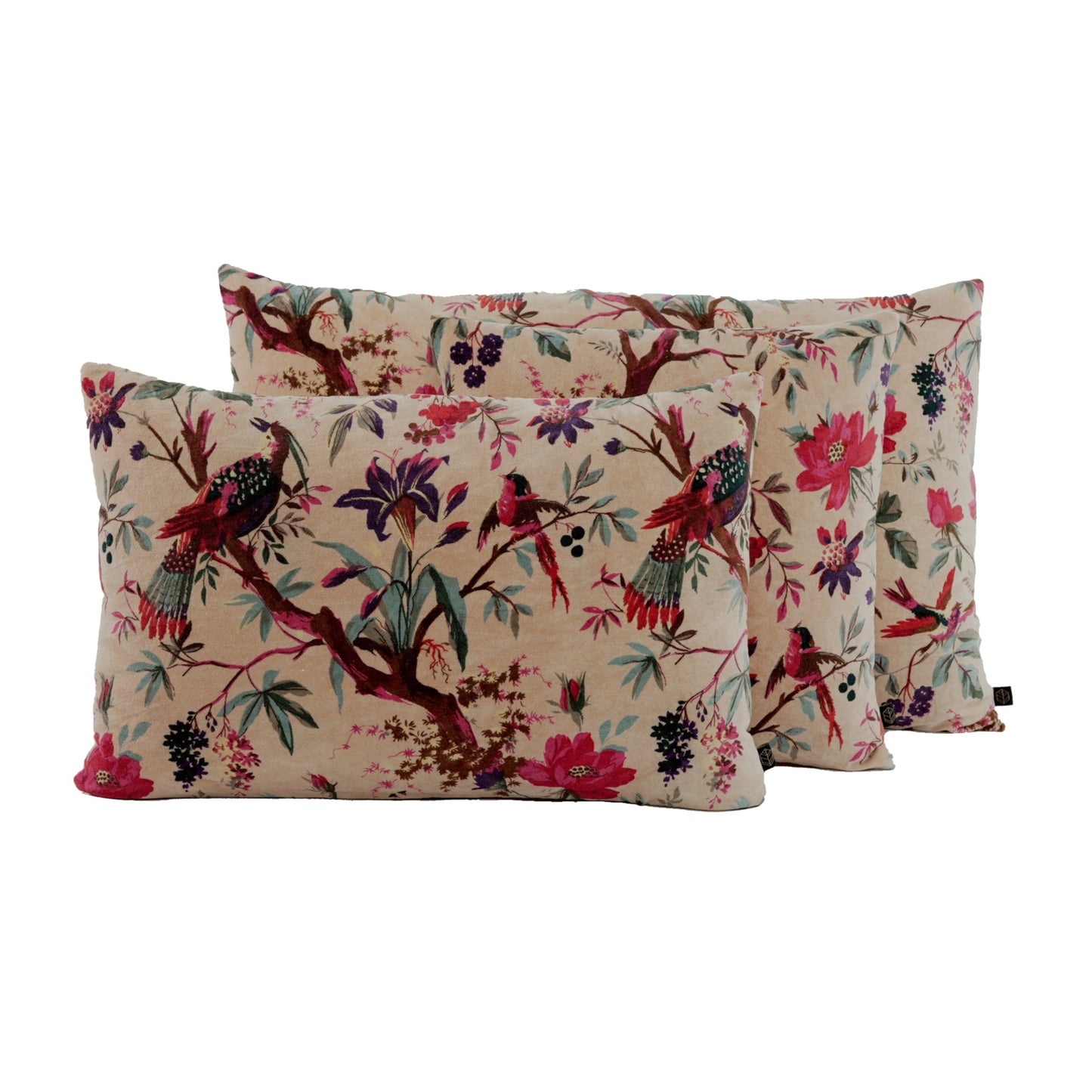 Cushion cover Birdy Petale 40x60 cm Haomy