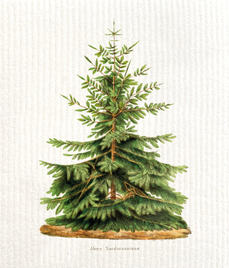 Tiskirätti - Kuusi Sköna Ting