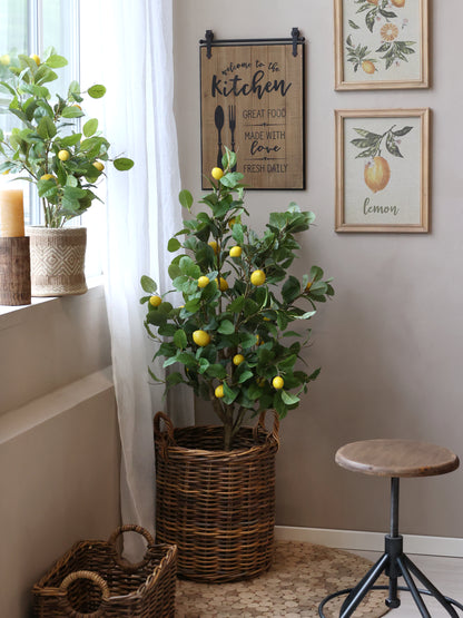 Sitruunapuu 80 cm Chic Antique