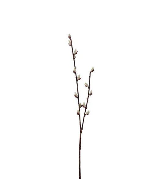 Willow cat36cm Mr Plant