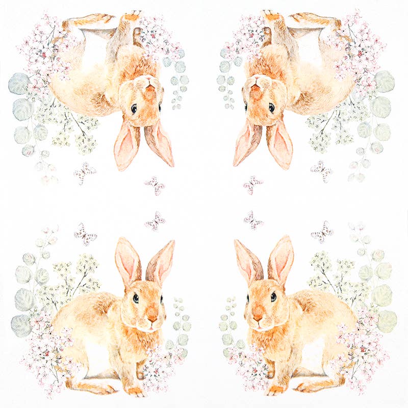 Rosi Rabbit lounasservetti