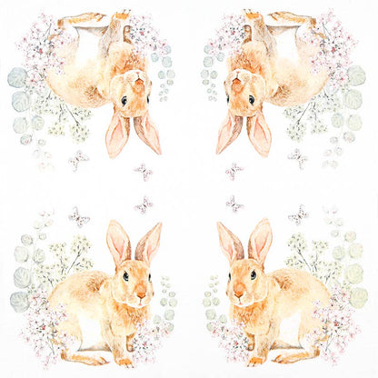 Rosi Rabbit lounasservetti