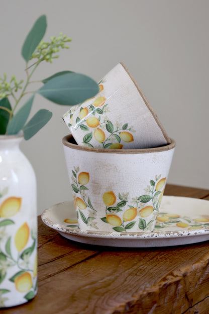 Kukkaruukku Sitruuna 10,5x13,5cm