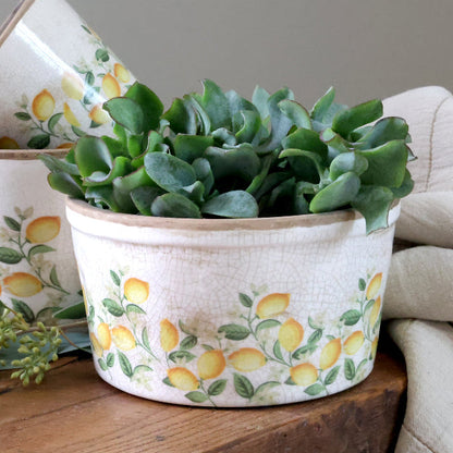 Kukkaruukku Sitruuna 9,5x16,5 cm