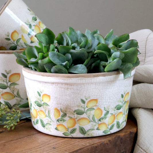 Kukkaruukku Sitruuna 9,5x16,5 cm