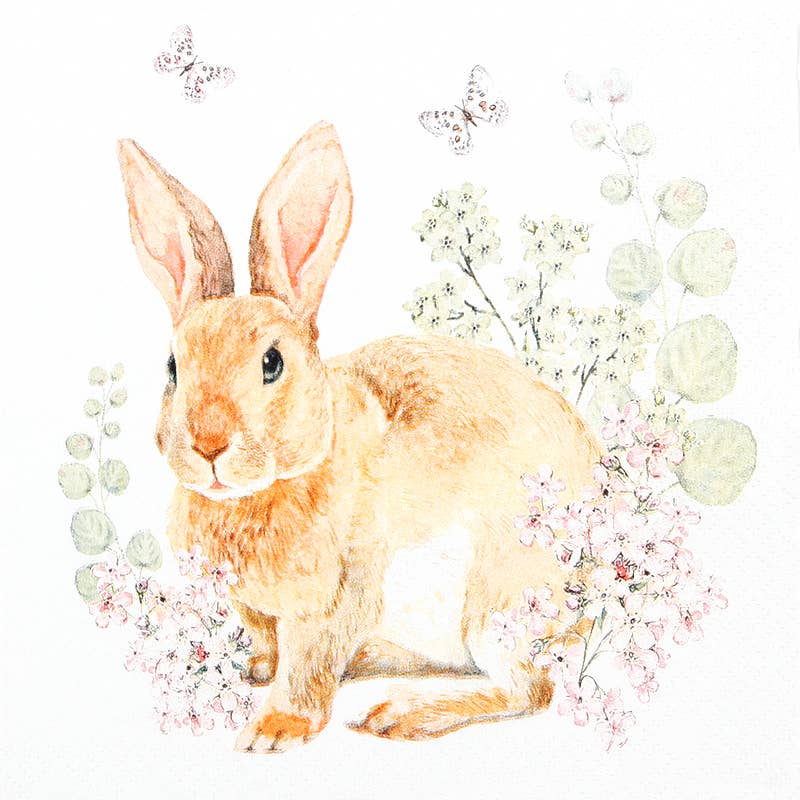 Rosi Rabbit lounasservetti