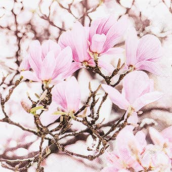 Pink Magnolia lounasservetti