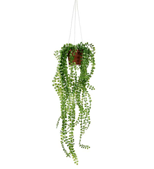 Hide in ampel 55cm Mr Plant