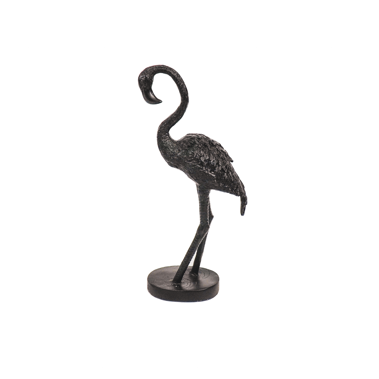 Flamingo black