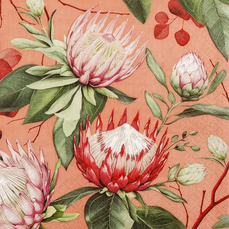 Madiba Protea coral lounasservetti