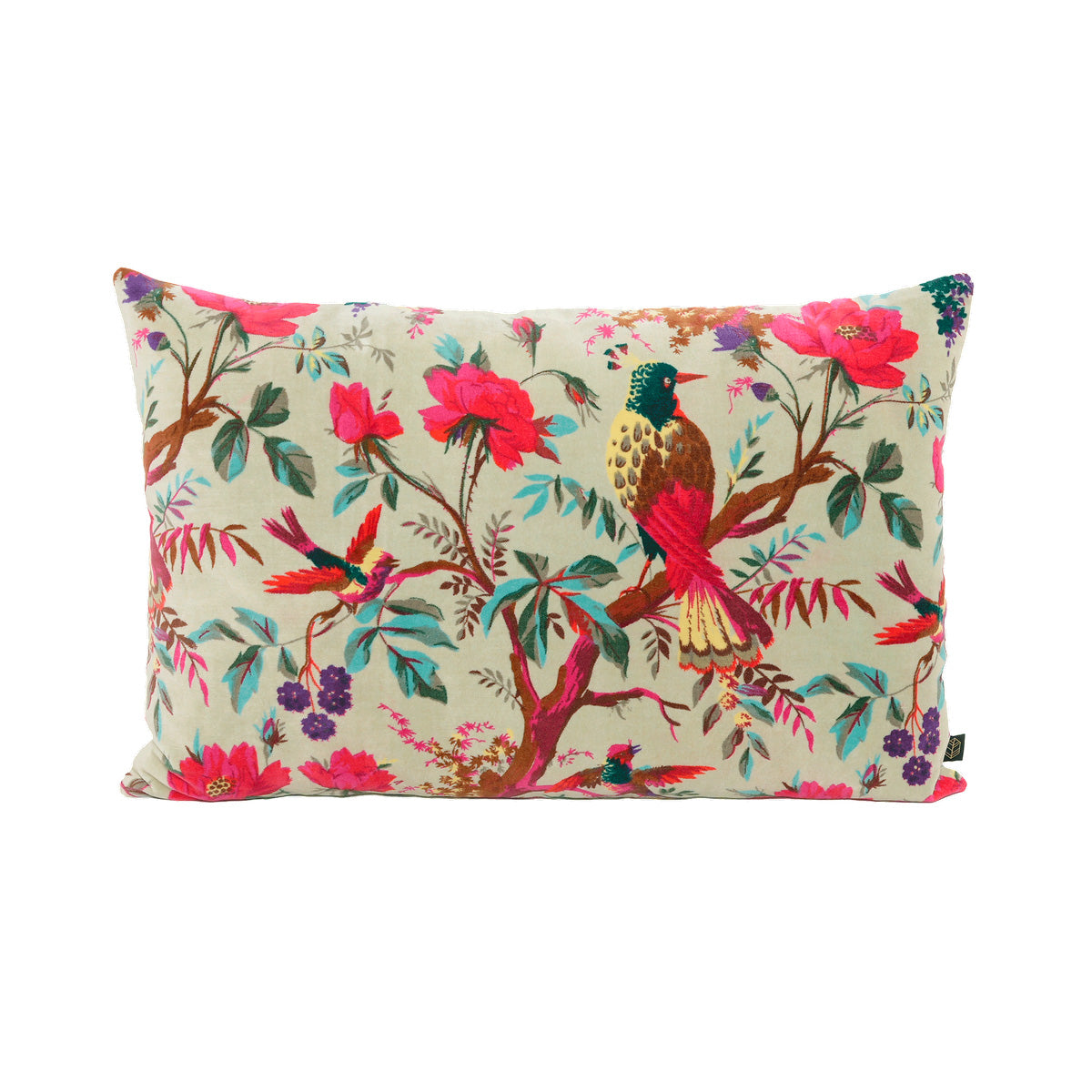 Cushion cover Birdy Celadon 50x80 cm Haomy