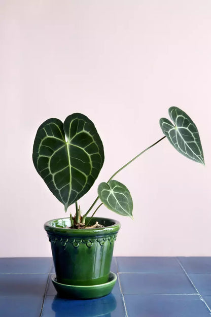 Copenhagen pot glazed Emerald Green 16cm