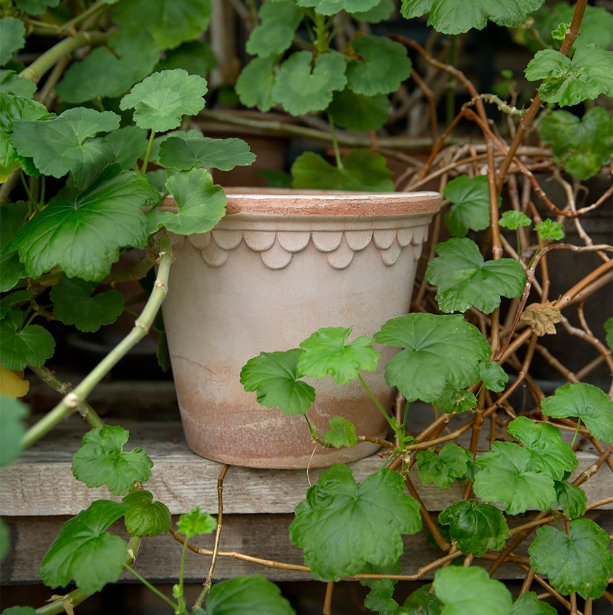 Copenhagen ruukku roosa 12 cm