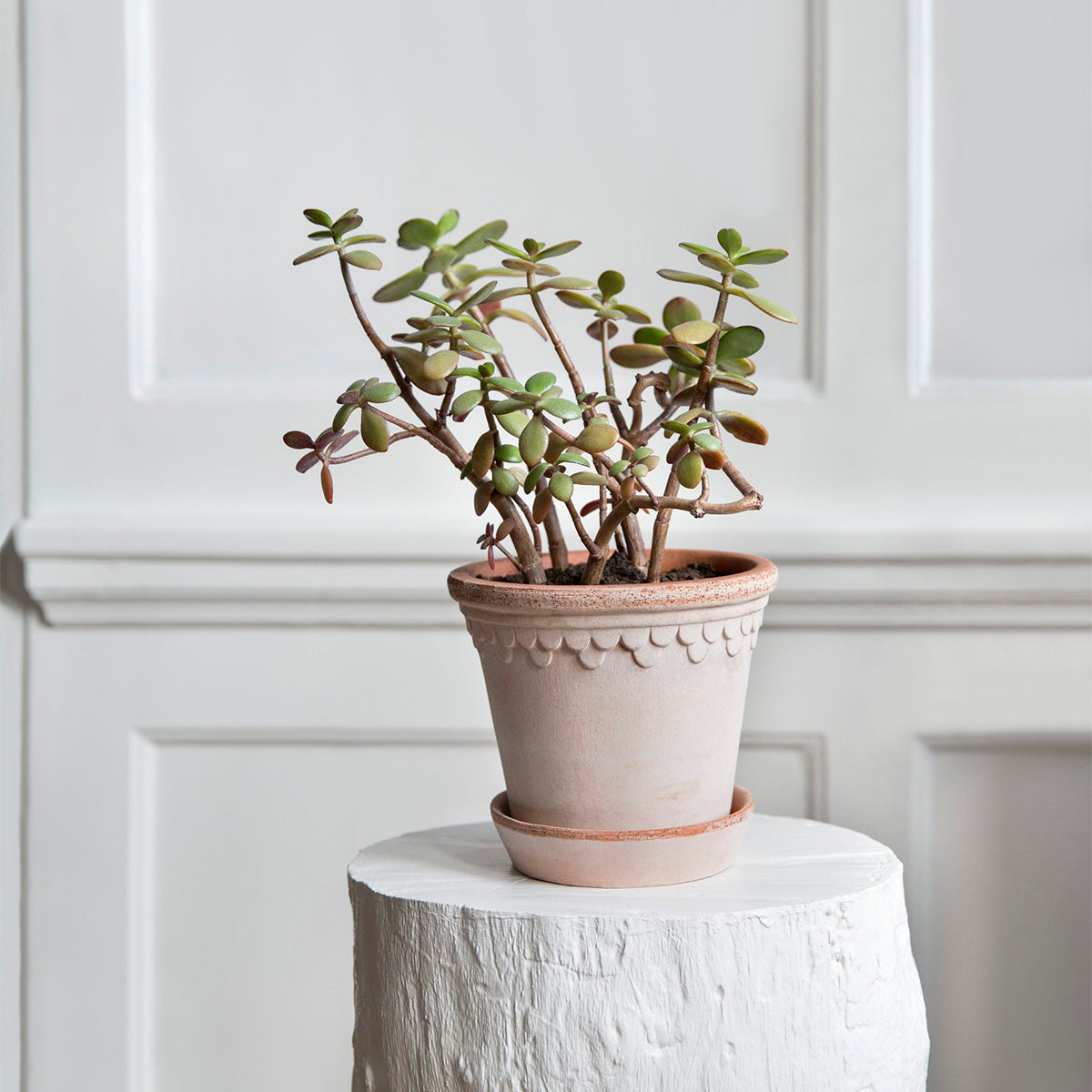 Copenhagen ruukku roosa 12 cm