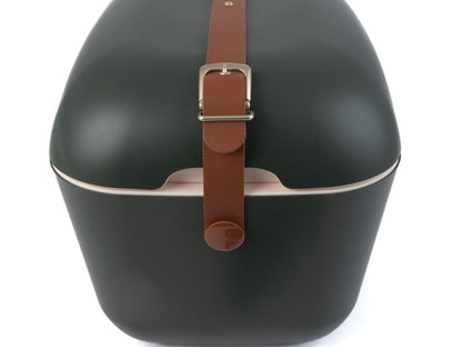 Polarbox Retro Cooler Green Forest 20l