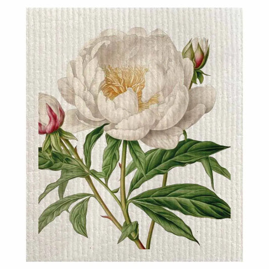 Tiskirätti - Valkoinen pioni