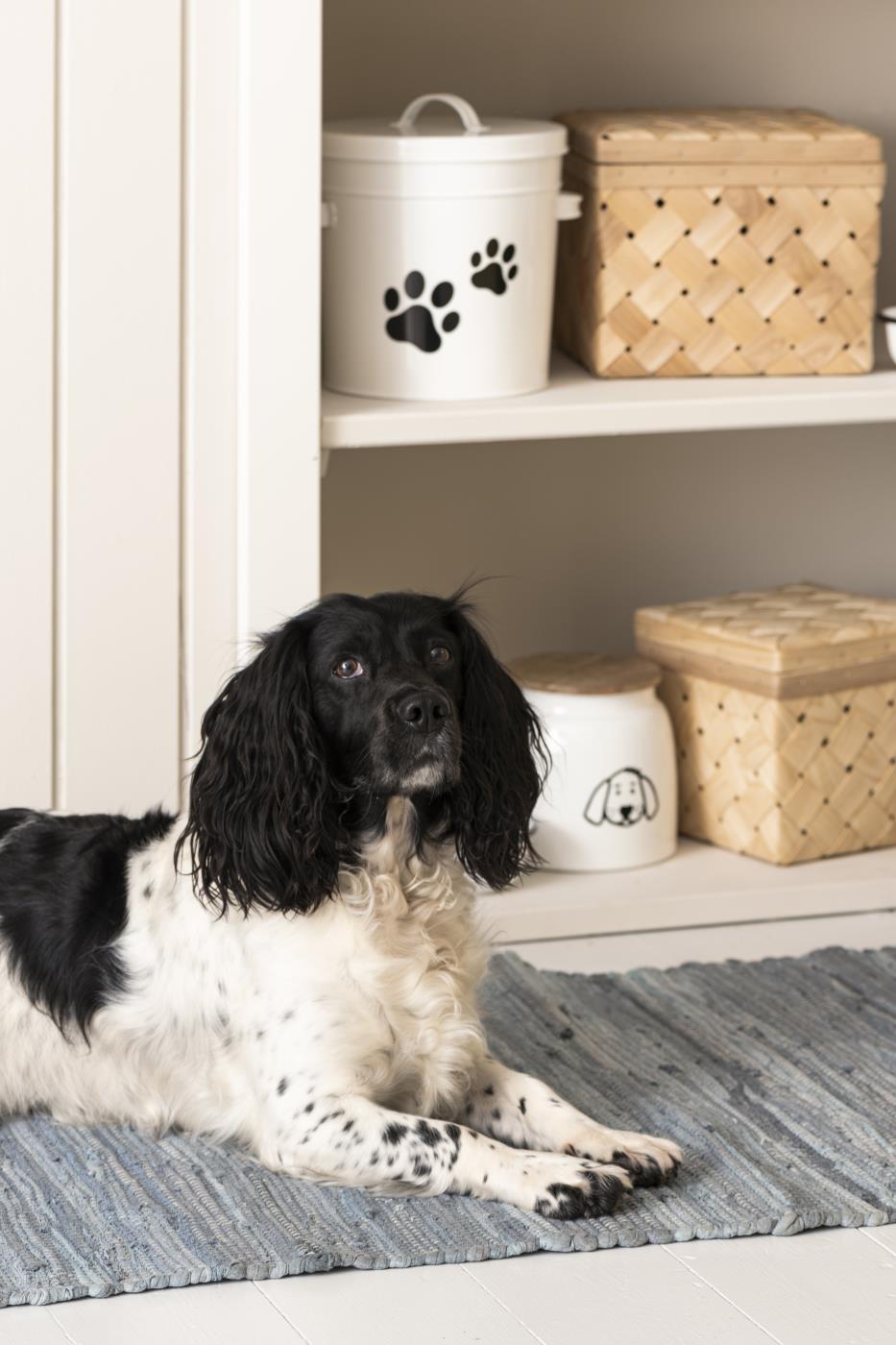 Säilytyspurkki koiranruualle 2,2 l