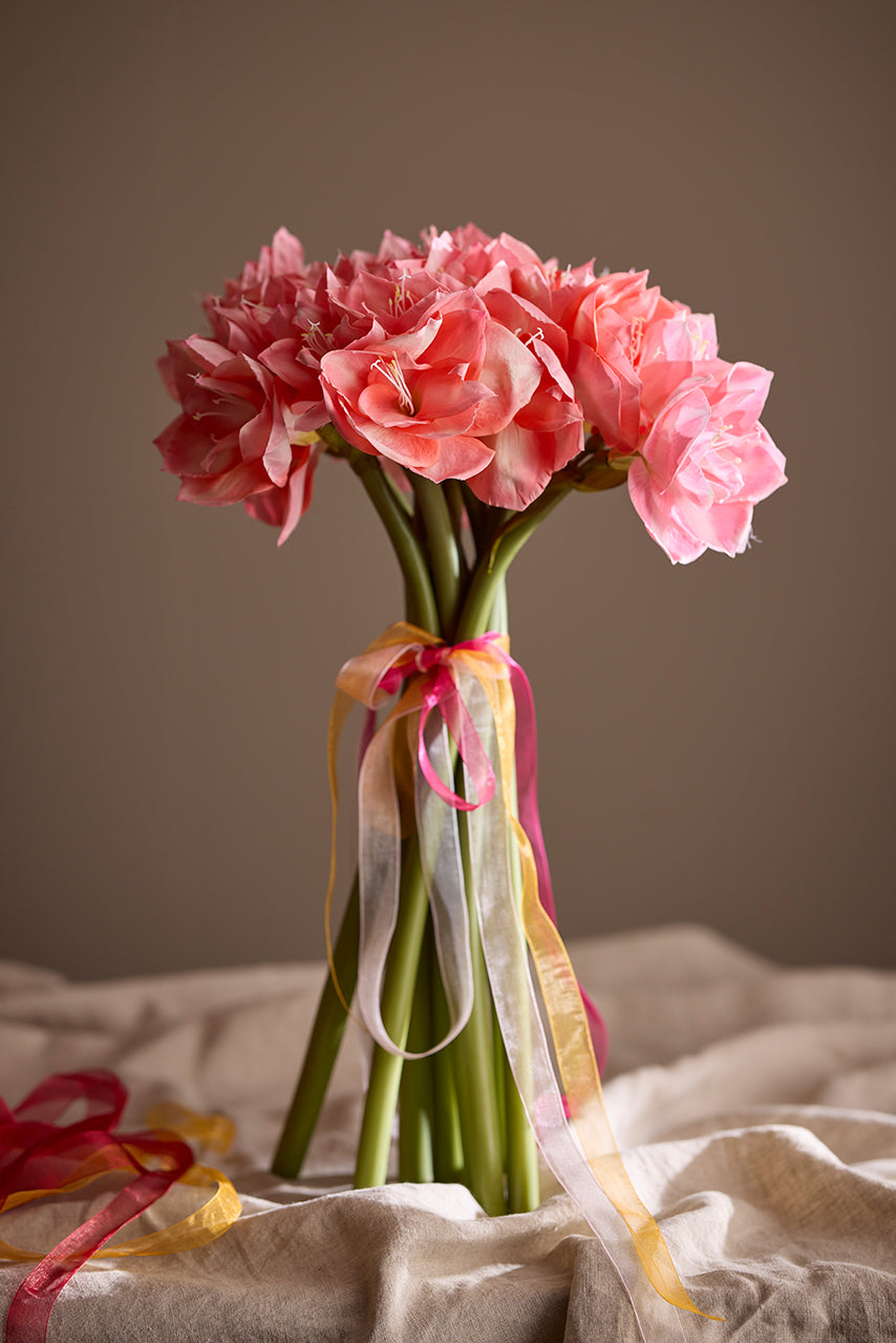 Amaryllis vaaleanpunainen 60cm Mr Plant