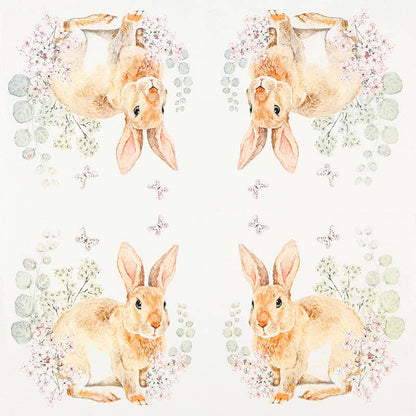 Rosi Rabbit kahviservetti