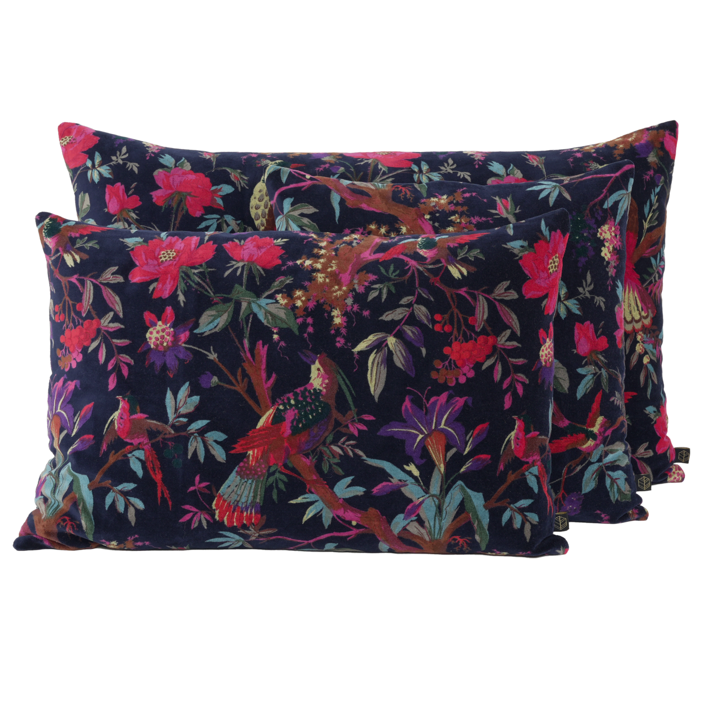 Cushion cover Birdy Encre 50x80 cm Haomy