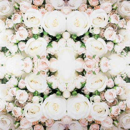 Romantic Roses kahviservetti