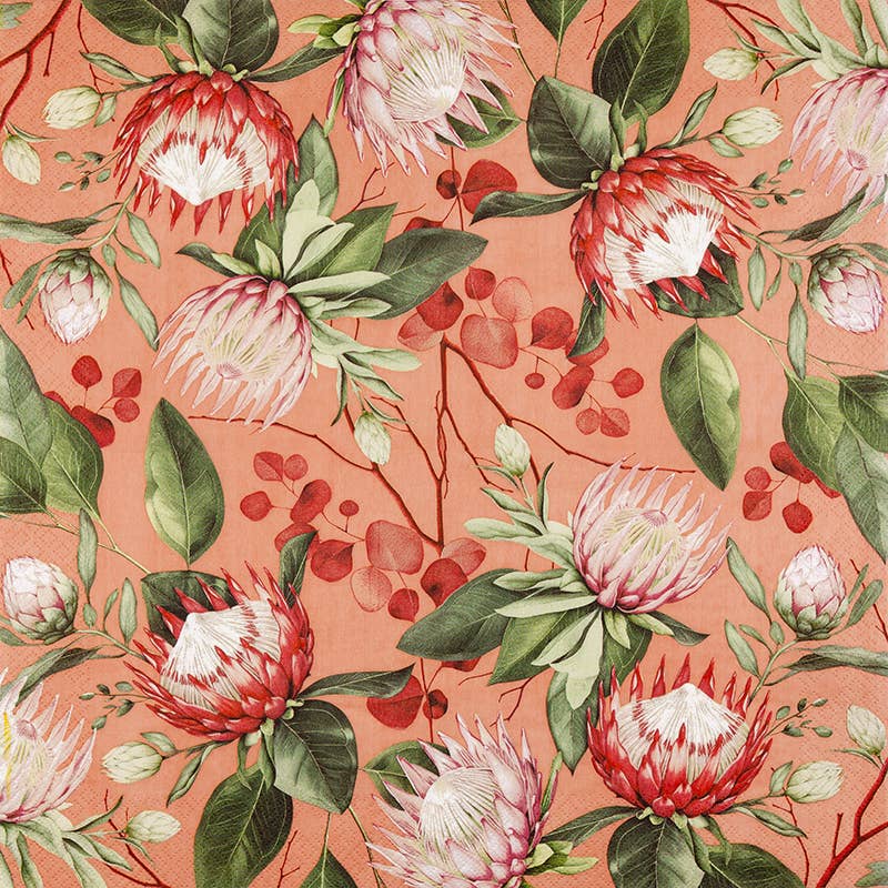 Madiba Protea coral lounasservetti