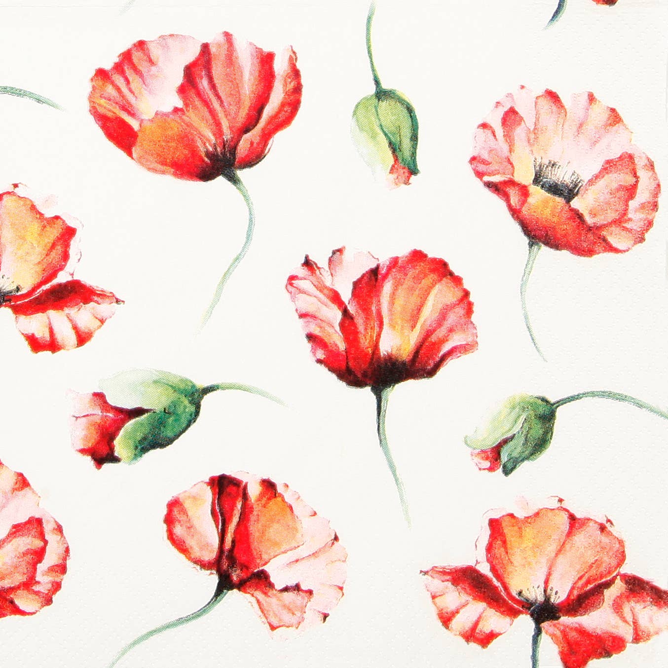 Poppy Drawing kahviservetti