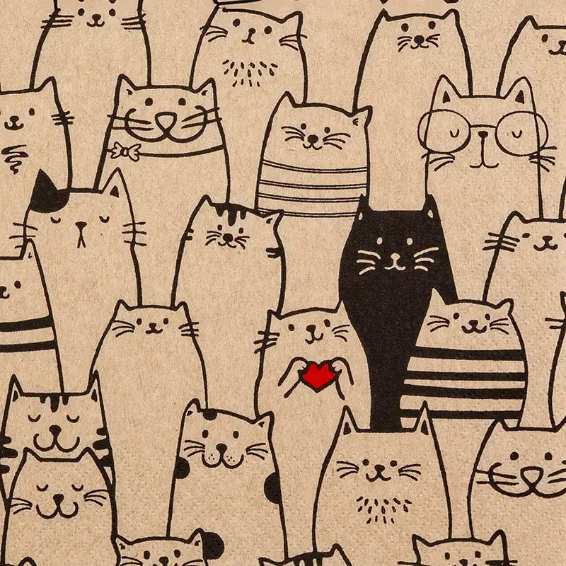 Comic Cats lounasservetti