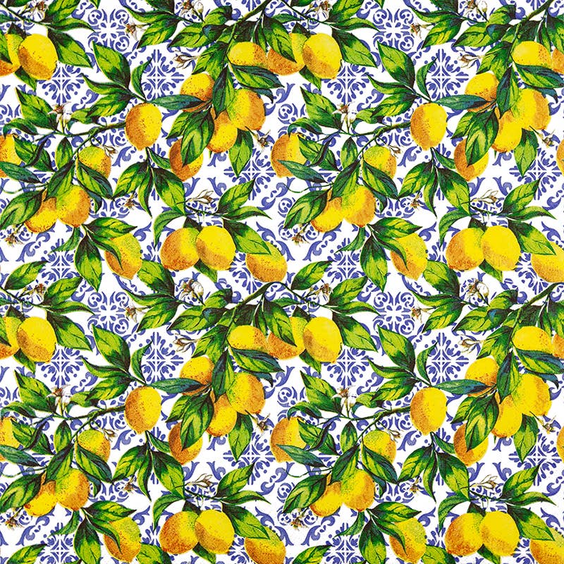 Citrus Branches on Tiles lounasservetti