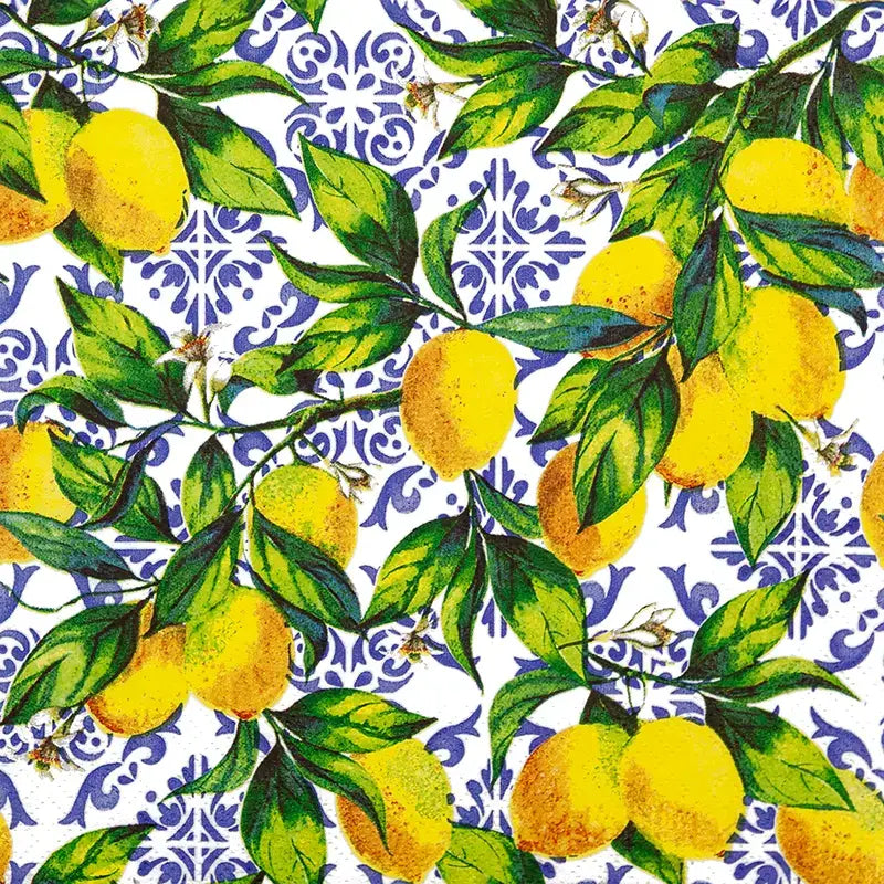 Citrus Branches on Tiles lounasservetti