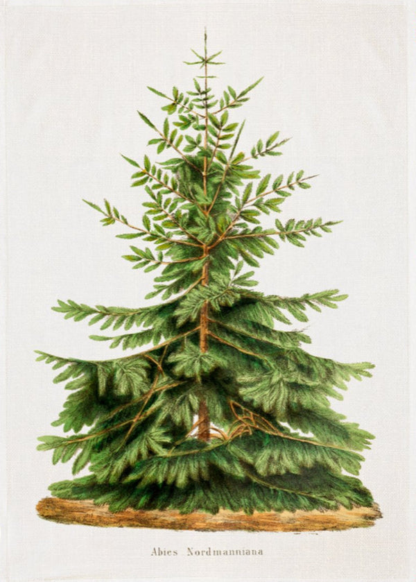 Keittiöpyyhe- Kuusi 50x70 cm