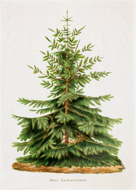 Keittiöpyyhe- Kuusi 50x70 cm