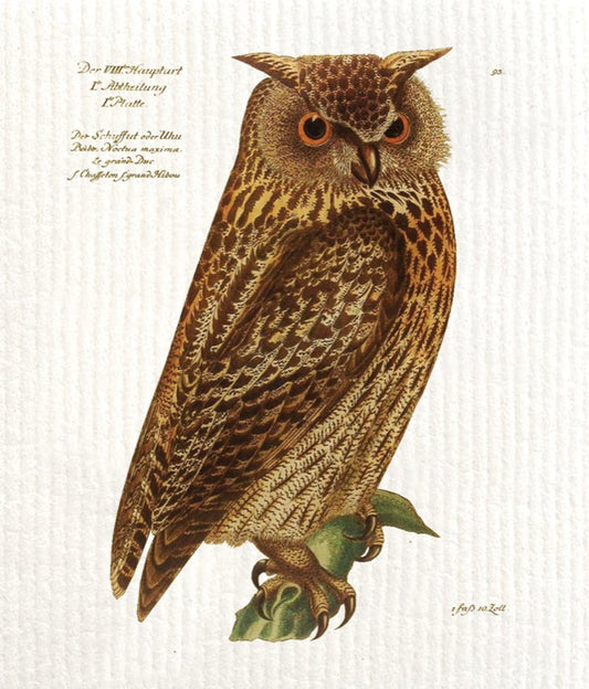 Tiskirätti - Pöllö