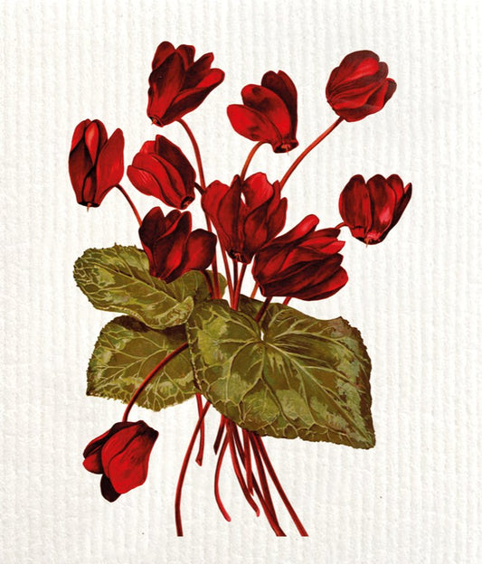 Tiskirätti - Syklaami